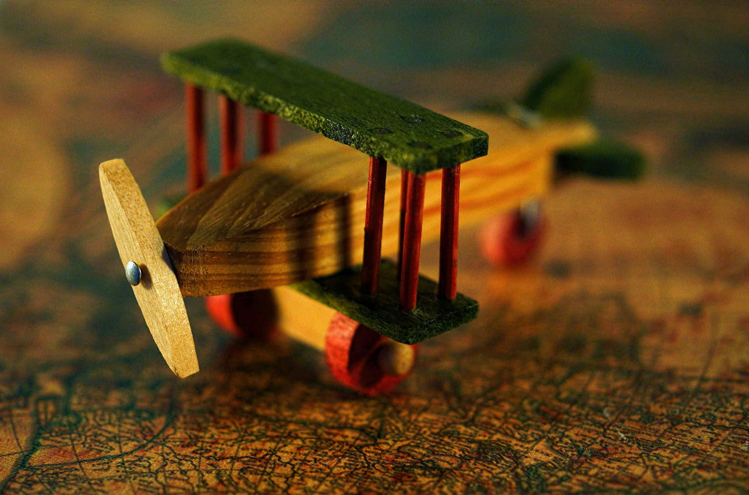 Tiny Wonders